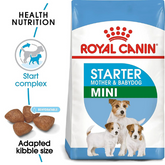 Royal Canin Mini Starter Mother & Baby dog Dry Dog Food