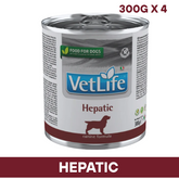 VetLife Hepatic Dog Wet Food
