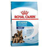 Royal Canin Maxi Starter Dry Food
