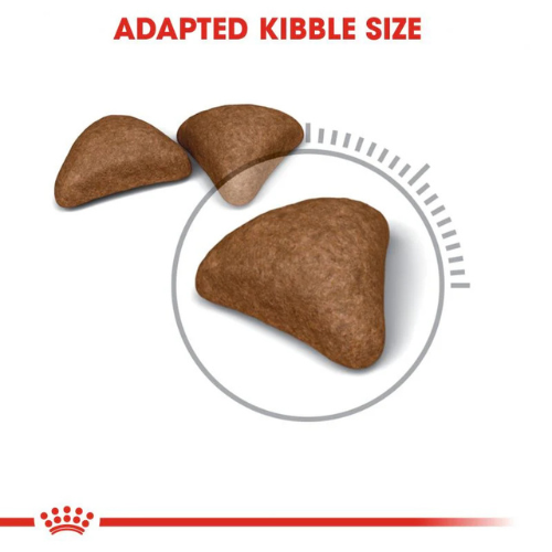 Royal Canin Hairball Care Dry Food