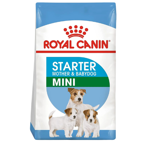 Royal Canin Mini Starter Mother & Baby dog Dry Dog Food