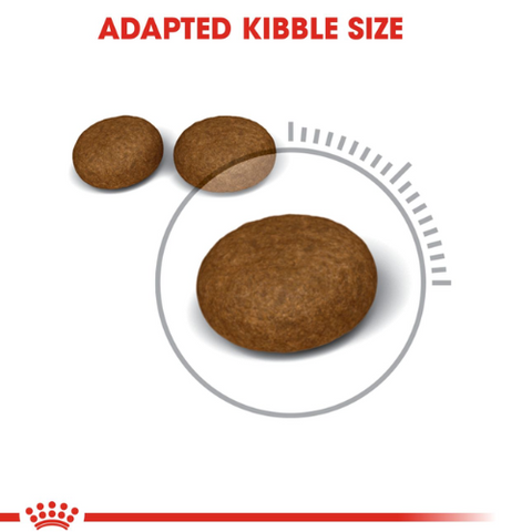 Royal Canin Hair & Skin Care Dry Food