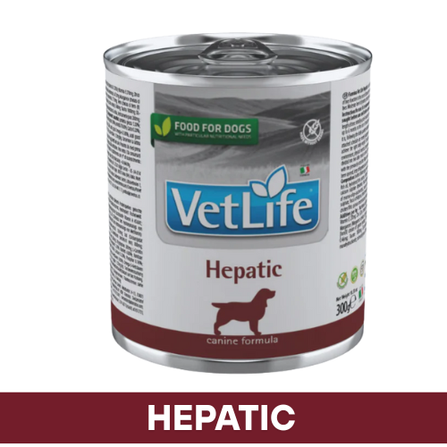 VetLife Hepatic Dog Wet Food