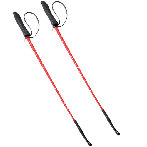 Dog Walking Stick (Colours May Vary)