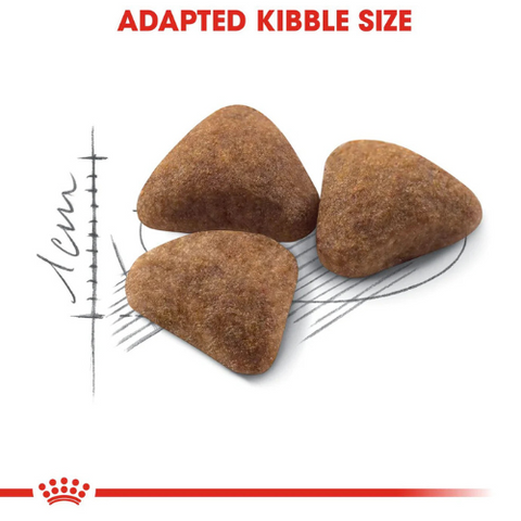 Royal Canin Indoor Adult Dry Food
