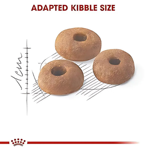 Royal Canin Fit Adult Dry Food