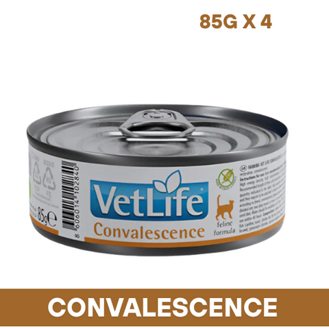 VetLife Convalescence Cat Wet Food