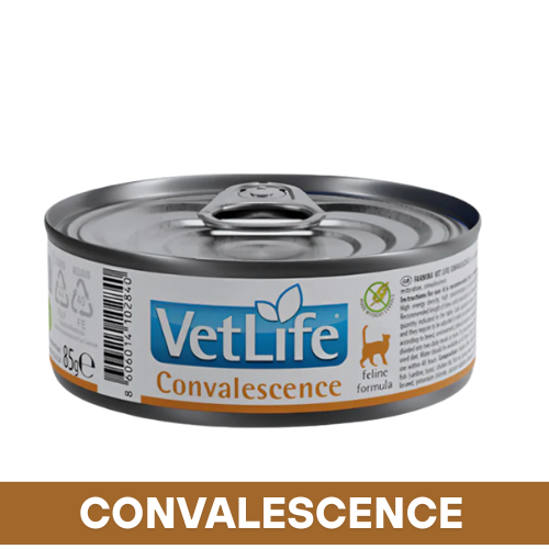 VetLife Convalescence Cat Wet Food