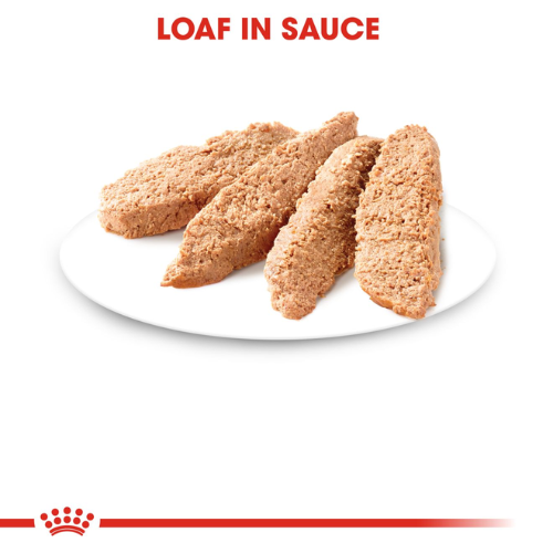 Royal Canin Kittten Instinctive Loaf Gravy Food