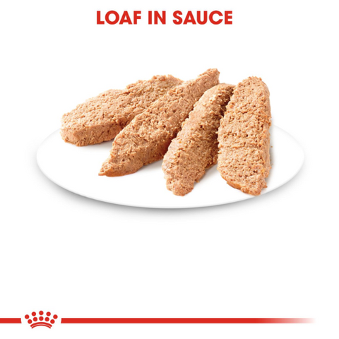 Royal Canin Kittten Instinctive Loaf Gravy Food