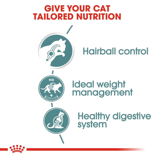 Royal Canin Hairball Care Wet Food
