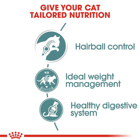 Royal Canin Hairball Care Wet Food