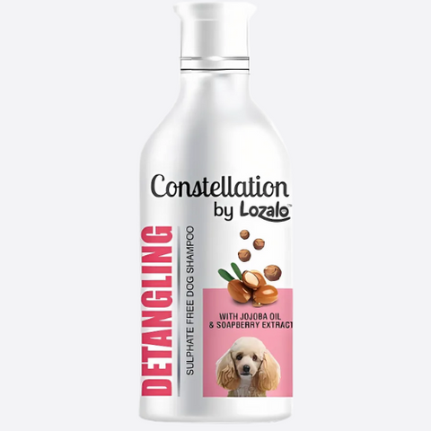 LOZALO Constellation Detangling Shampoo