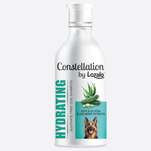 LOZALO Constellation Hydrating Shampoo