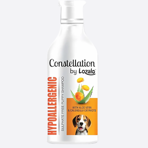LOZALO Constellation Hypoallergenic Shampoo