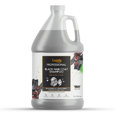 Lozalo Professional Black Coat Shampoo
