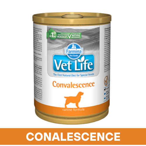 VetLife Convalescence Dog Wet Food