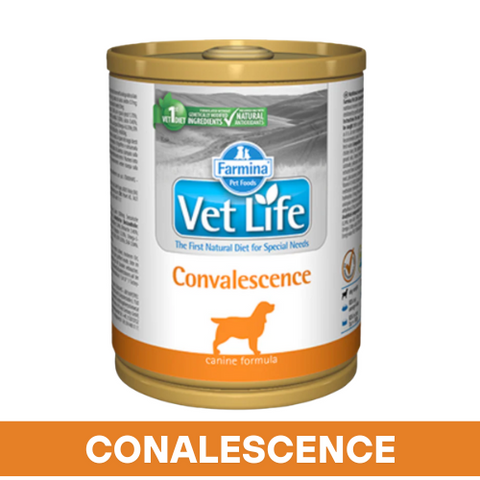 VetLife Convalescence Dog Wet Food