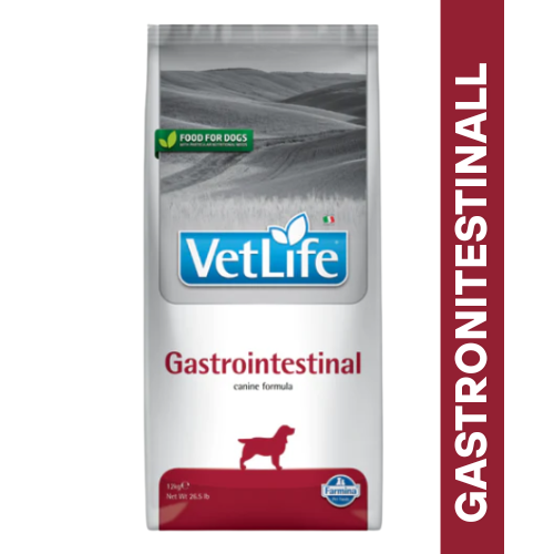 VetLife Gastrointestinal Dog DryFood