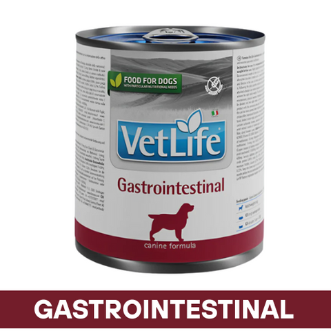 VetLife Gastrointestinal Dog Wet Food