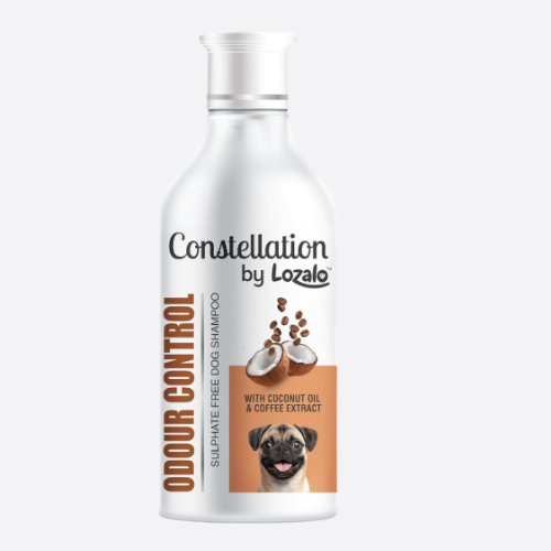 LOZALO Constellation Odour Control Shampoo